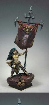 Female dark elf standart bearer by Yellow one