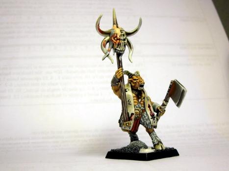 beastman shaman made from gor box bad pick by Buyardboss