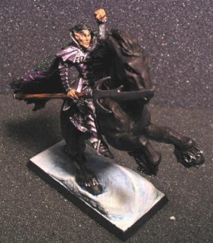 Dark Elf lord on steed by brimar