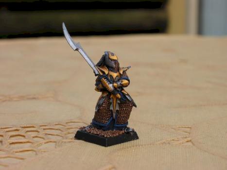 Dark Elf Executioner by aragorn