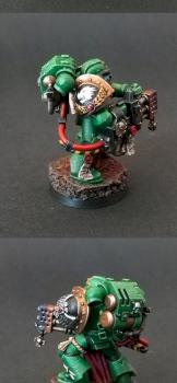 Salamander Sternguard by Charios