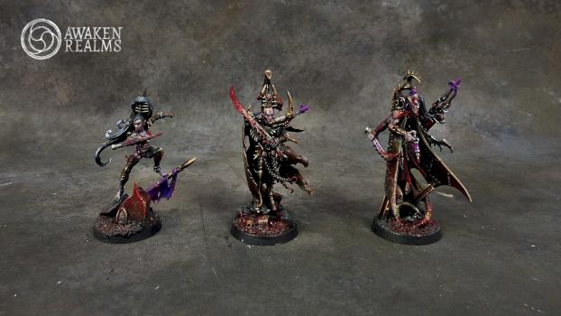 Dark Eldar Heroes by Awaken Realms