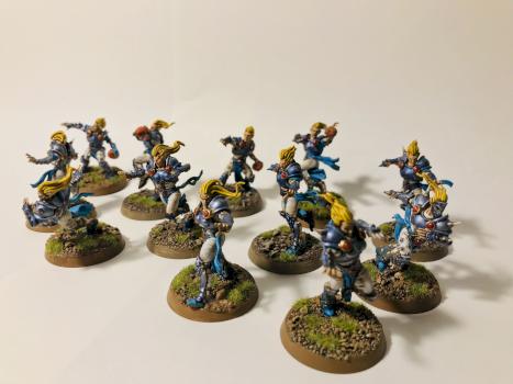 Elves Blood Bowl team by instant