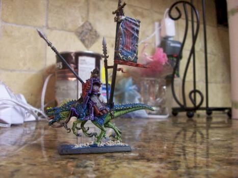 dark elf standard bearer by tyrant