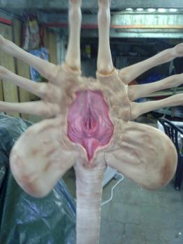 facehugger by Canary