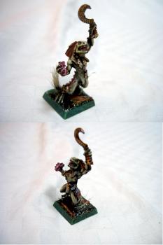 Lizardmen Skink Priest by The Wargames Painter