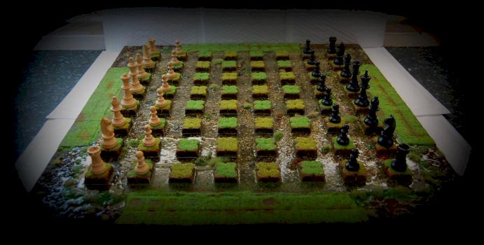 Swampy chess board by ndwj