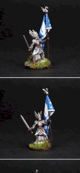 LOTR Dol Amroth Standard Bearer on Foot by Mojo77