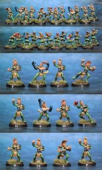 Wood Elf Blood Bowl team by lono