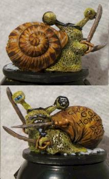 Escargot pirate by bifron