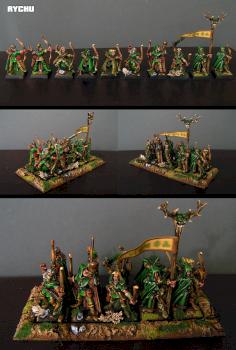 Wood Elves Galde Guards by RYCHU666