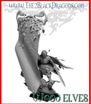 Warhammer Fantasy Elfes Wood elves BSB by The 2 Black Dragons