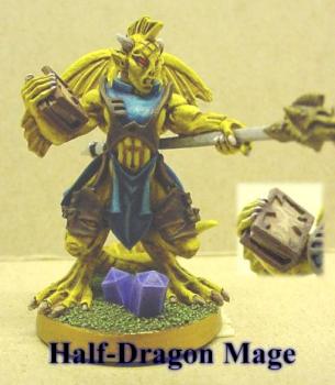 Chainmail Half-Dragon Mage by No Such Agency