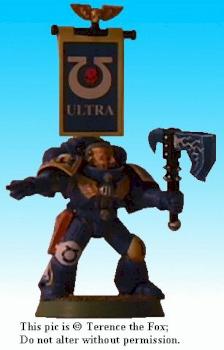 Space Marine Ultramarine Sergeant by TerenceFox