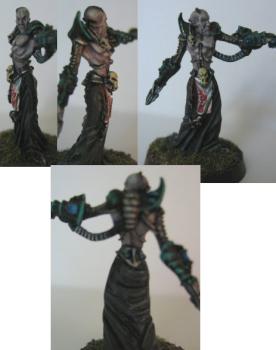 Dark Eldar Haemonculus by Valorus