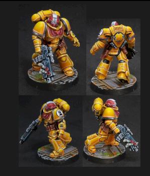 Imperial Fists Intercessor Sergeant by zwings