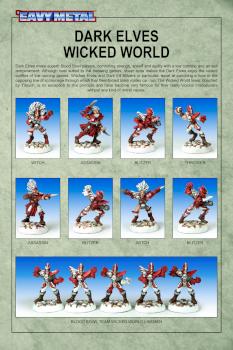 Blood Bowl Dark Elf Team : Wicked World by SSB