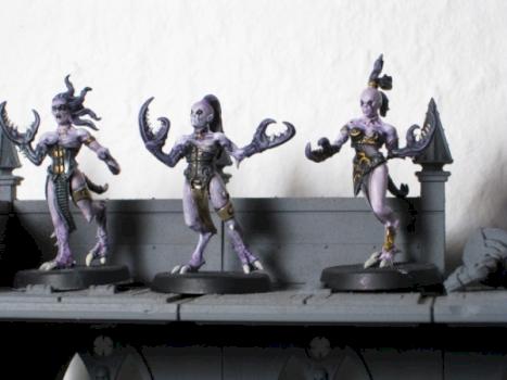 Chaos Daemons Daemonettes of Slaanesh (wip) by Roxor