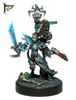 Seigneur Dark Eldar by thomas