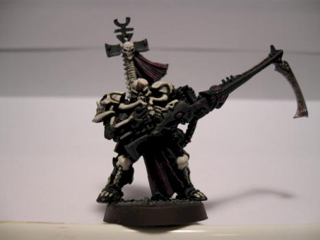 Dark Reaper Pheonix Lord by Paintgrot