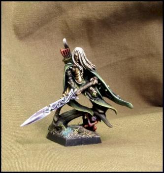 Wood Elf Lord with Great Weapon by Gildor