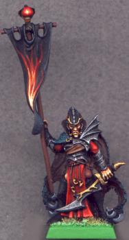 Dark Elf Corsair standard bearer by Aschul