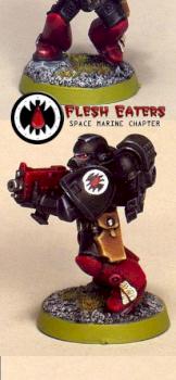 Flesh Eaters tactical marine by Chaplain Desmodus