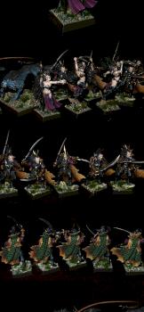 Dark Elven Warband by Lan Studio