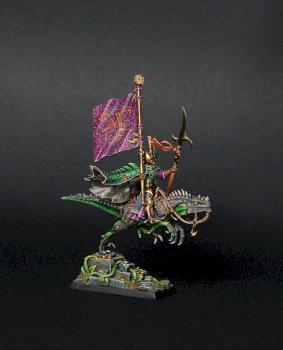 Dark Elves MASTER BSB on COLD ONE by siny lemur