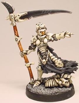 Chainmail Bone Cleric by idahoan