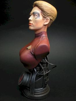 seven of nine by Vger