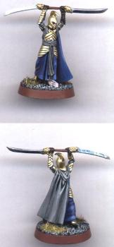 LotR Elven Warrior with double sword by Druzil