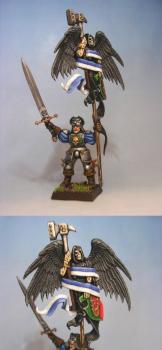 Empire standard bearer by darklord