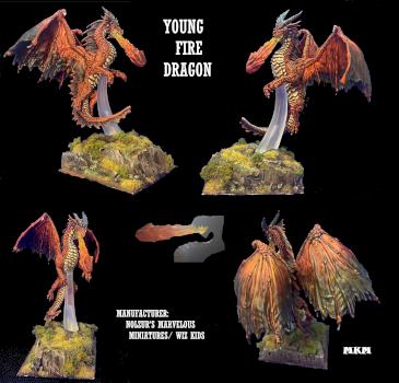 VIINTHURYOL, YOUNG FIRE DRAGON by mousekiller