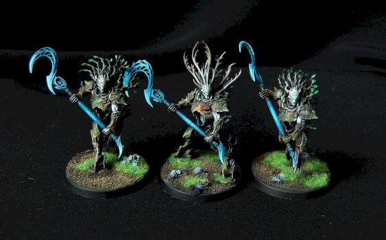 Sylvaneth Kurnoth Hunters by Damik