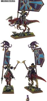 Dark Elves Master BSB on Cold One by dargo000