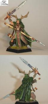 Wood Elf lord with two weapons by Dakan