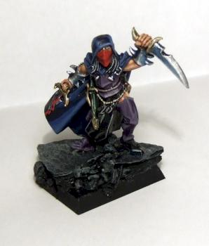 DARK ELVES ASSASSIN by capt mannering