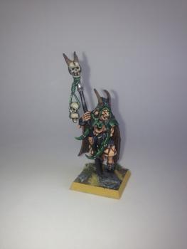 Beastmen Bray-shaman by Warp Fiend