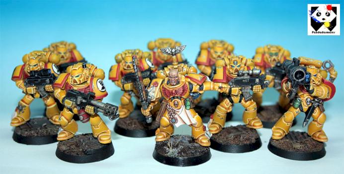 Imperial Fist tactical squad by Pandadosmares