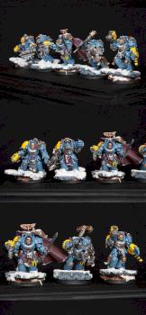 Space Wolves Wolf Guard Terminators by Lemartes