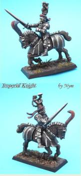 Empire knight by Nym