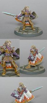 Selafyn High Elf Hero by darkartminiatures