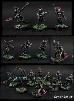 Wythches Dark eldar by Graphigaut