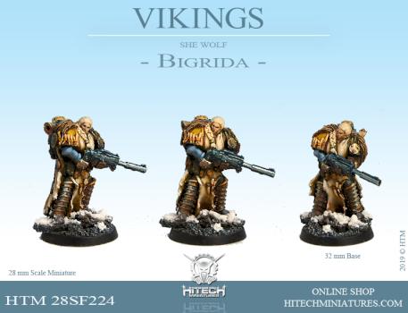 Bigrida by hitechminiatures2