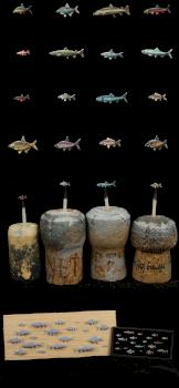 Fish Collection by HonourGuard