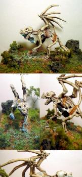 1985 Skeleton by dunderpate