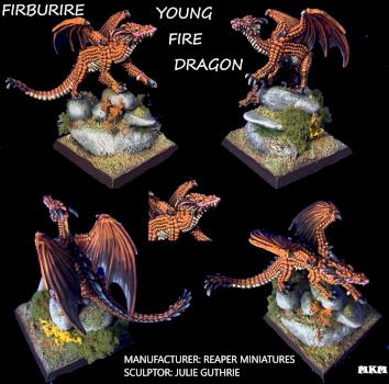 FIRBURBIRE, YOUNG FIRE DRAGON by mousekiller