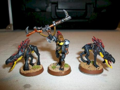 Tau Kroot Shaper and Hounds by BibleFight