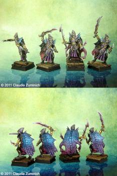 Dark Elves Black Ark Corsairs by Claudia Zuminich